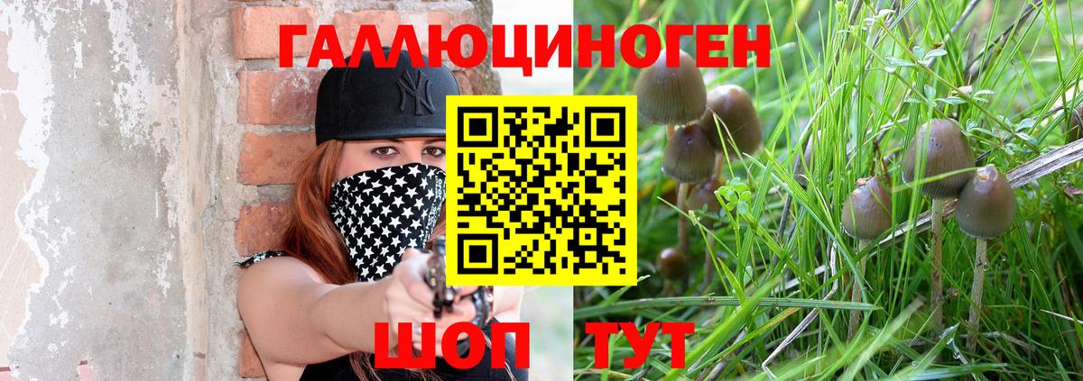 Галлюциногенные грибы Cubensis Сунжа
