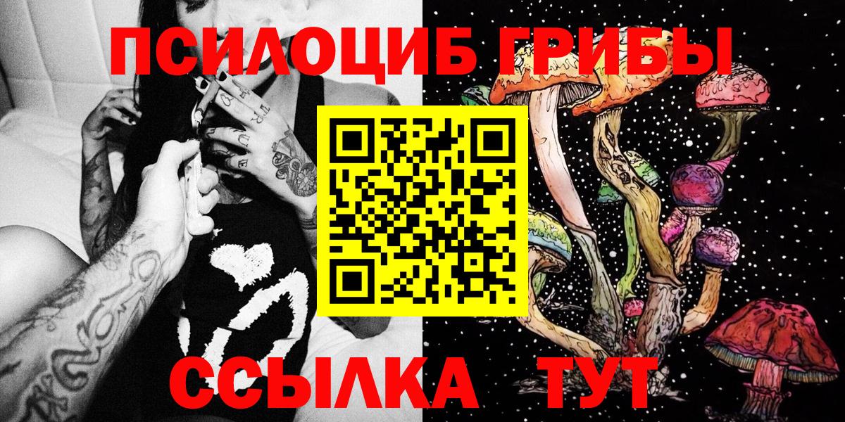 Галлюциногенные грибы Psilocybine cubensis  Вход с VPN  Сунжа 
